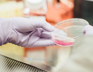 Application of Recombinant DNA in Wildlife Medicine